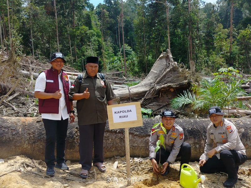 Bukan Cuma Tangkap Pelaku, Kapolda Riau Juga Tanam Pohon di Lokasi Perambahan Hutan